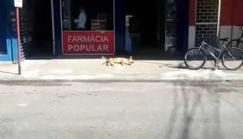 Drogaria El Ranchito - Mangaratiba