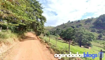 Drogaria Santo Antônio - - Palma