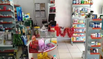 Drogasara Farmacia e Drogaria - Goiás - Go