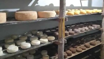 Du'Vale Queijos ( Entre em contato para visitar nossa Fazenda) - Valença