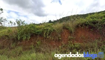 Farmácia São Dimas - 98