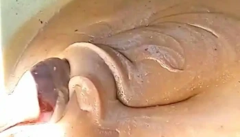 Onça de Pitangui Prefeitura - - Onça De Pitangui