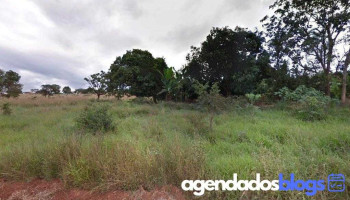 Wrg Comercial de Medicamentos - Projecao 02 Loja
