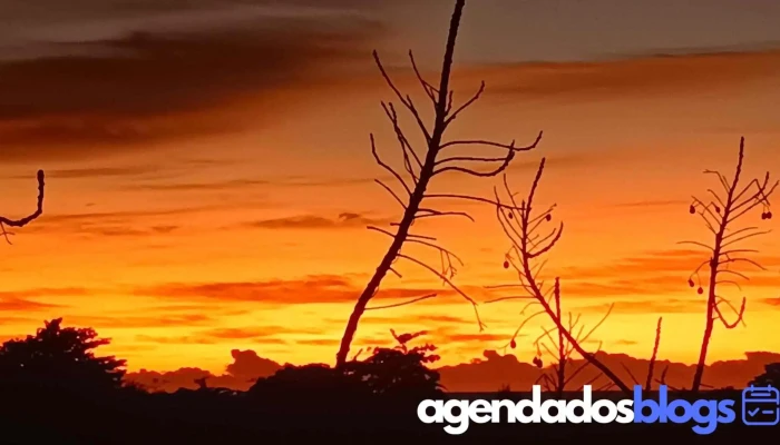 Drogaria Andrade -  Do Proprietario - São Francisco De Itabapoana