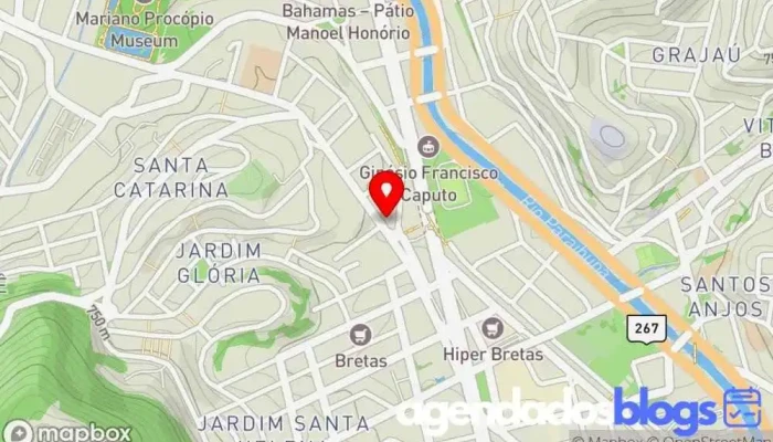mapa de Drogaria Araujo - Mariano Procópio Farmácia, Drogaria em Juiz de Fora
