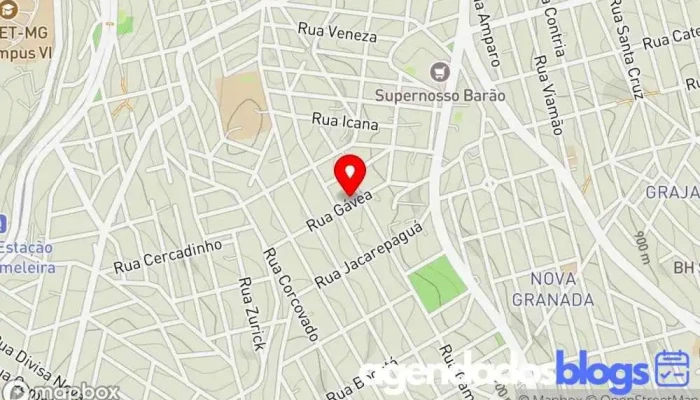 mapa de Drogaria Gávea | Farmácia em Belo Horizonte Drogaria, Serviço de entregas expresso, Perfumaria, Empresa farmacêutica em Belo Horizonte