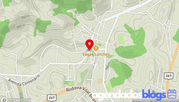 mapa de Drogaria Poupe Mais Farma | Farmacia Delivery Plantão Aberta Agora Empresa farmacêutica, Drogaria em Lima Duarte