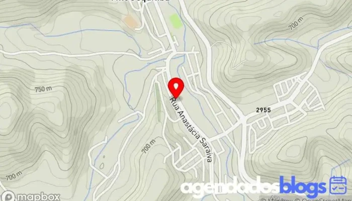 mapa de Drogaria Santos Farmácia em Alto Jequitibá