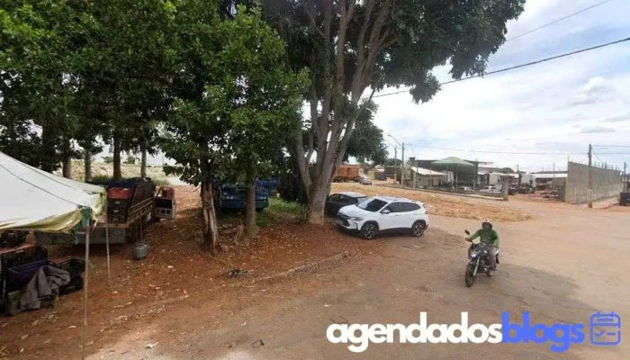 Drogaria+você - Inhumas - Go