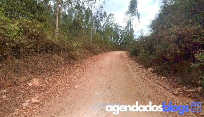 Drogasil Estrela - São Bento Abade - Mg