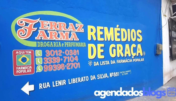 Ferraz Farma -    Drogaria Tudo - Rio De Janeiro