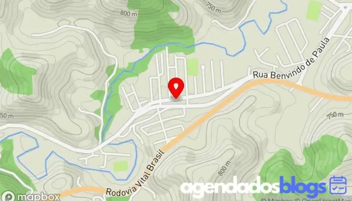 mapa de MEDFARMA DROGARIA DRUGSTORE Empresa farmacêutica em Lima Duarte