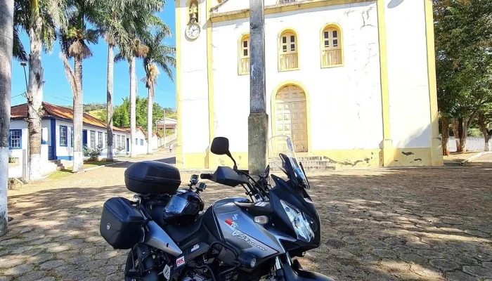 Onca De Pitanguimg Principal - Mg