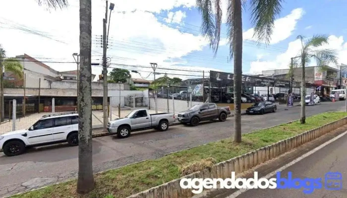Pollyanna Cardoso Braga - Alfenas