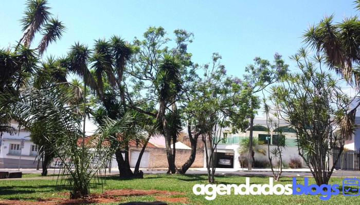 Praca Farid Nader Parque - Araguari
